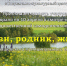Смотр-конкурс художественной самодеятельности "Живи, родник, живи!" - Социально-культурный центр