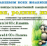 Смотр-конкурс художественной самодеятельности "Живи, родник, живи!" - Социально-культурный центр